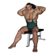 Plate Pull - Seated Bent Over